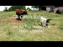 CR Catch Ride