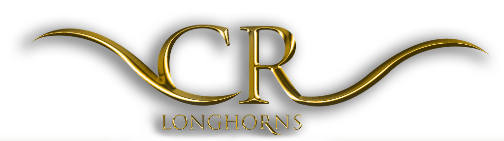 CR Longhorns logo